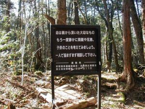 Aokigahara